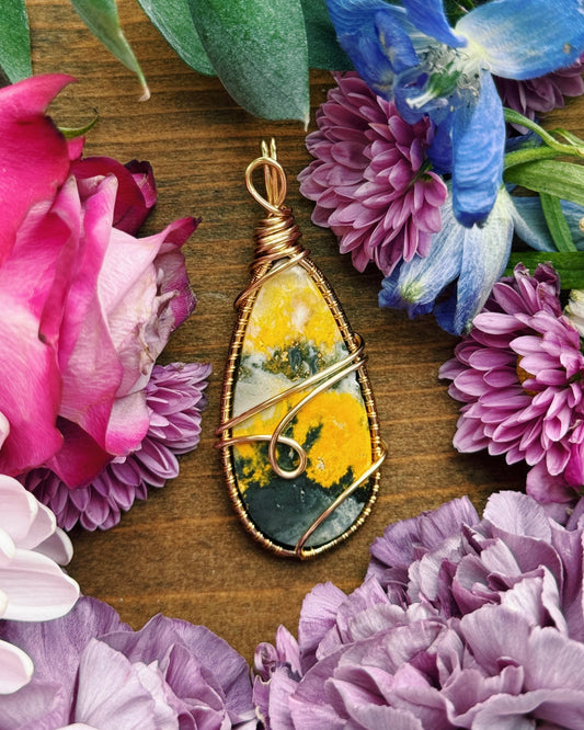 Bumblebee Jasper
