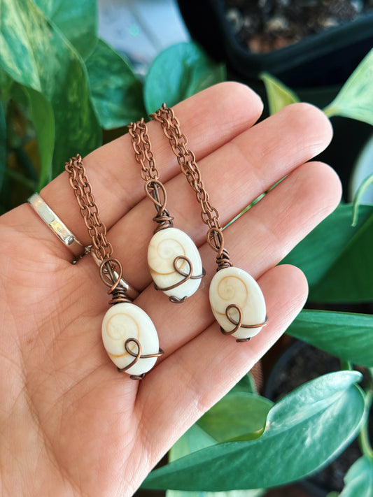 Shiva Shell Pendy